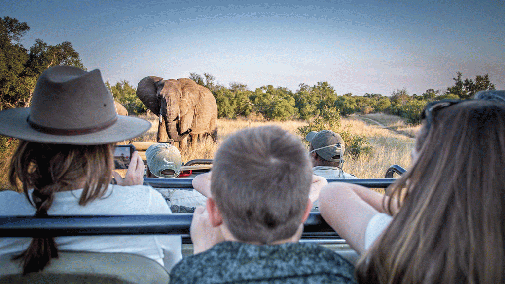 a wild child adventure in southern africa luxury african safaris
