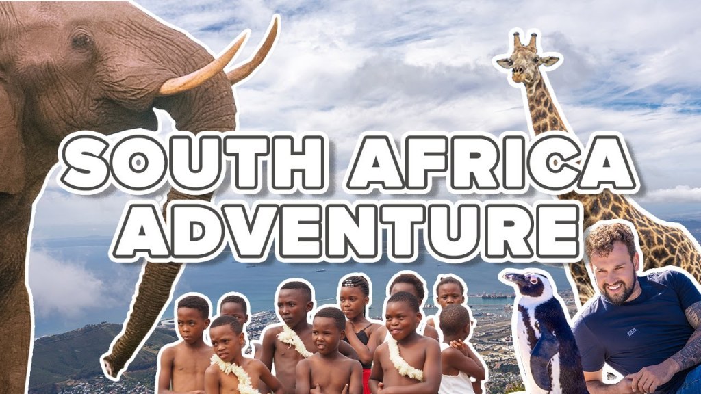 adventure travel south africa - South Africa Adventure 🇿🇦  MUST DOs: African safari, meet the locals &  explore cities!  INTRO
