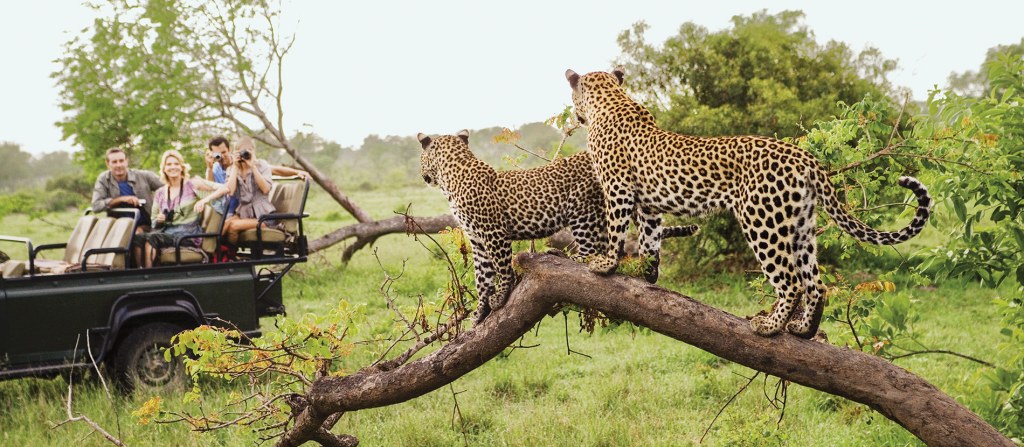 south africa tours amp guided travel vacations national geographic 0