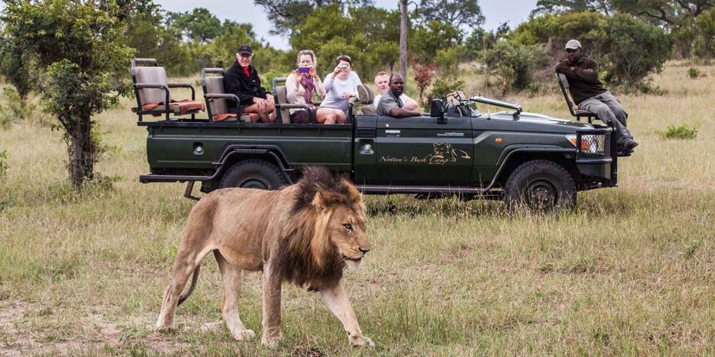 adventure travel south africa - South Africa Tours  Sun Safaris